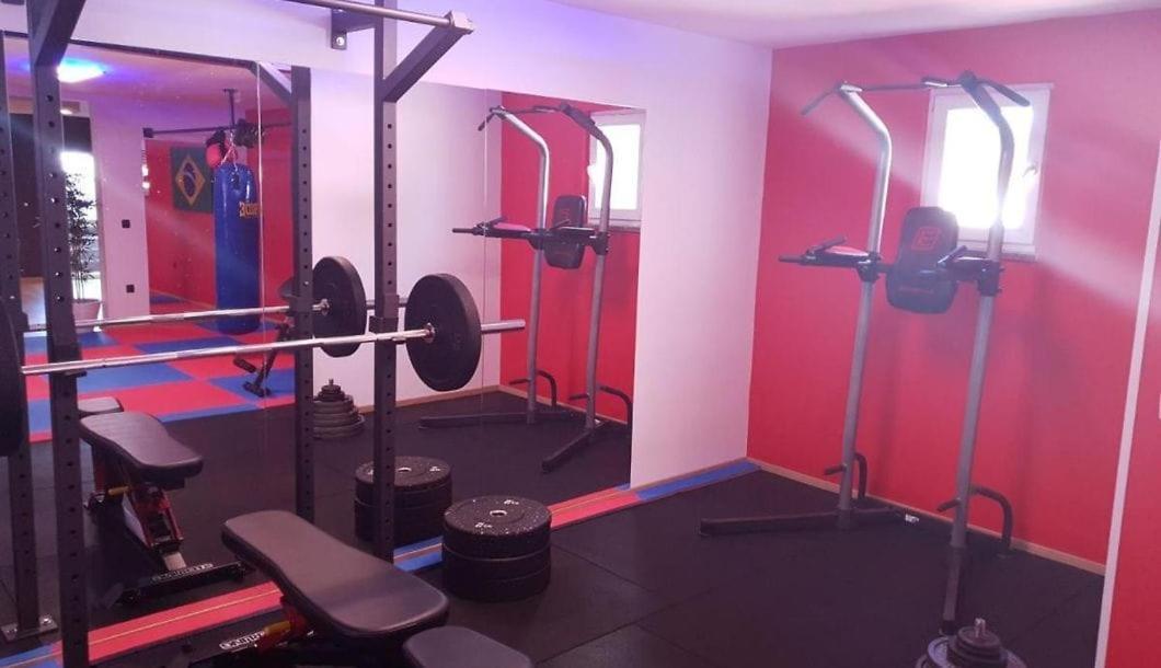 Villa Filip - Private Pool & Gym Пула Екстериор снимка